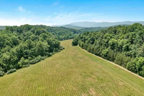 2446 Deer Run Rd, Ferrum, VA 24088 photo 130