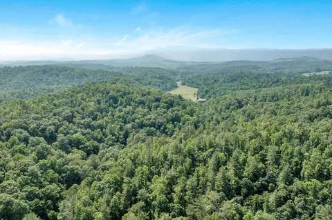 2446 Deer Run Rd, Ferrum, VA 24088 photo 146