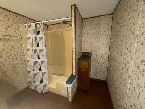 262 Lowe St, Buchanan, VA 24066 photo 31