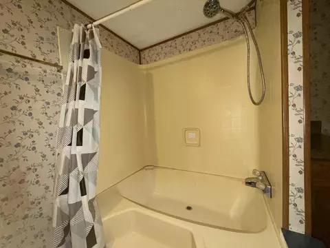 262 Lowe St, Buchanan, VA 24066 photo 32