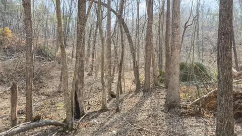 tbd Ferrum Forest Ln, Ferrum, VA 24088 photo 43