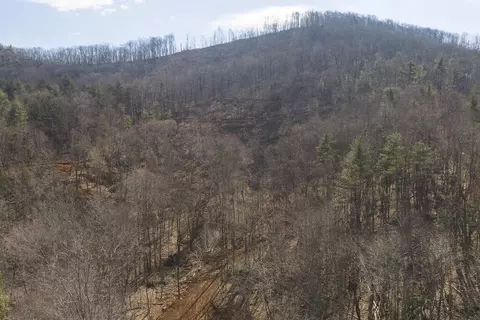 tbd Ferrum Forest Ln, Ferrum, VA 24088 photo 5