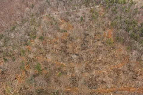 tbd Ferrum Forest Ln, Ferrum, VA 24088 photo 19