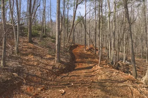 tbd Ferrum Forest Ln, Ferrum, VA 24088 photo 3