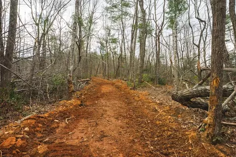 tbd Ferrum Forest Ln, Ferrum, VA 24088 photo 25