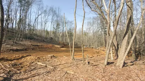 tbd Ferrum Forest Ln, Ferrum, VA 24088 photo 44