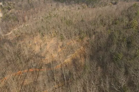 tbd Ferrum Forest Ln, Ferrum, VA 24088 photo 15