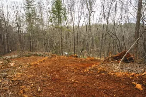 tbd Ferrum Forest Ln, Ferrum, VA 24088 photo 24