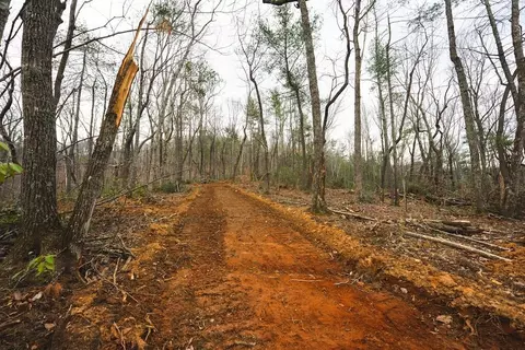 tbd Ferrum Forest Ln, Ferrum, VA 24088 photo 26
