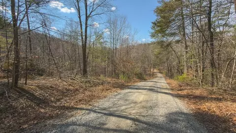 tbd Ferrum Forest Ln, Ferrum, VA 24088 photo 36