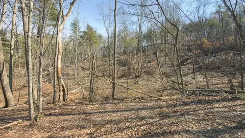 tbd Ferrum Forest Ln, Ferrum, VA 24088 photo 40