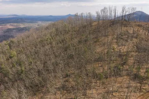 tbd Ferrum Forest Ln, Ferrum, VA 24088 photo 16