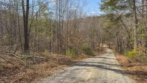 tbd Ferrum Forest Ln, Ferrum, VA 24088 photo 35