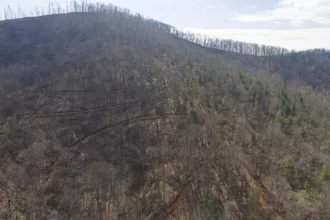 tbd Ferrum Forest Ln, Ferrum, VA 24088 photo 6