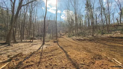 tbd Ferrum Forest Ln, Ferrum, VA 24088 photo 38