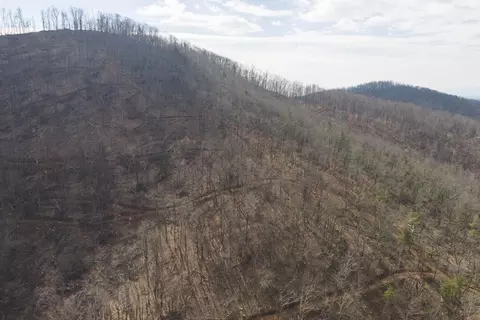 tbd Ferrum Forest Ln, Ferrum, VA 24088 photo 9