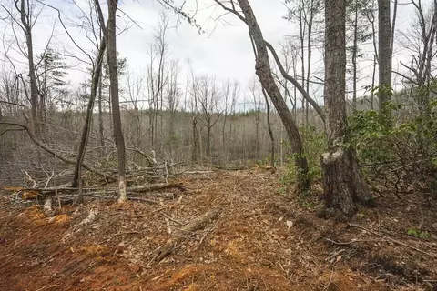 tbd Ferrum Forest Ln, Ferrum, VA 24088 photo 28