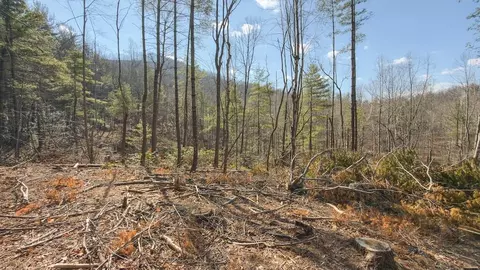 tbd Ferrum Forest Ln, Ferrum, VA 24088 photo 37