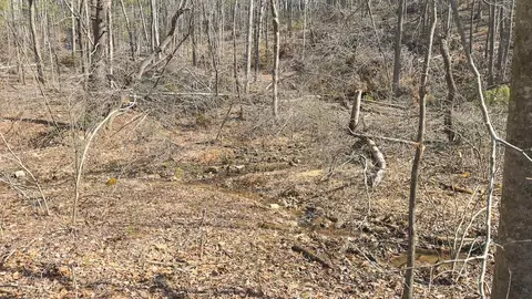 tbd Ferrum Forest Ln, Ferrum, VA 24088 photo 42