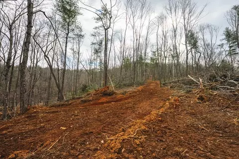 tbd Ferrum Forest Ln, Ferrum, VA 24088 photo 23