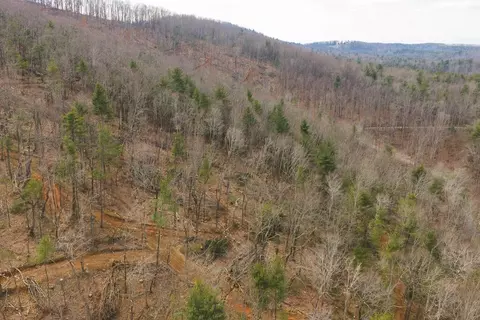 tbd Ferrum Forest Ln, Ferrum, VA 24088 photo 20