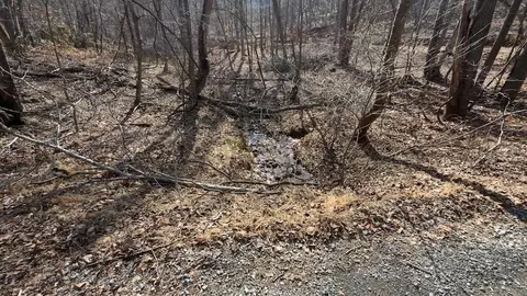 tbd Ferrum Forest Ln, Ferrum, VA 24088 photo 30