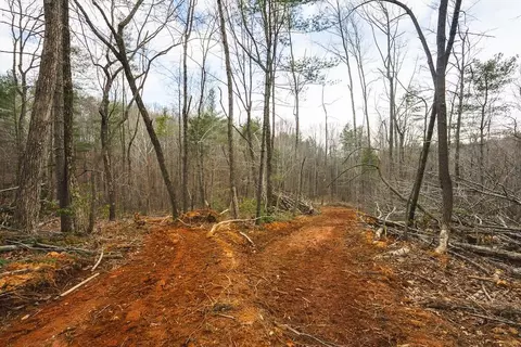 tbd Ferrum Forest Ln, Ferrum, VA 24088 photo 27