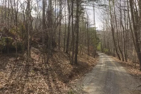 tbd Ferrum Forest Ln, Ferrum, VA 24088 photo 21