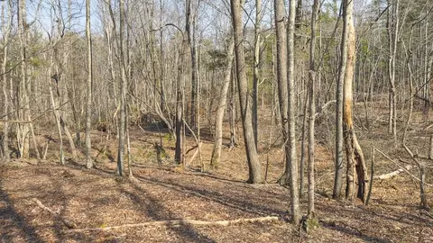 tbd Ferrum Forest Ln, Ferrum, VA 24088 photo 39