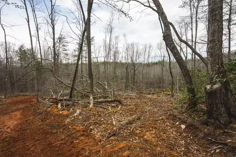 tbd Ferrum Forest Ln, Ferrum, VA 24088 photo 29