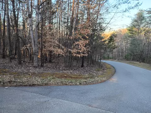 60 Old Barn Rd, Moneta, VA 24121