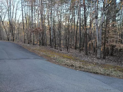 60 Old Barn Rd, Moneta, VA 24121 photo 2