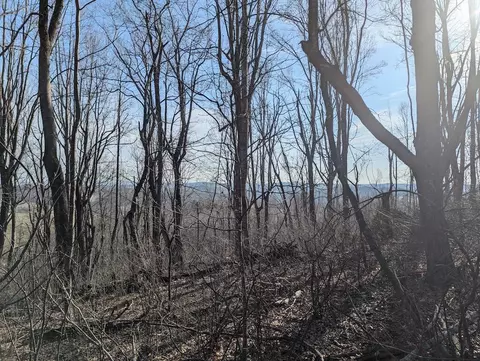tbd Coles Knob Rd NE, Pilot, VA 24138 photo 15