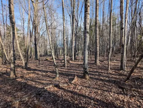 tbd Coles Knob Rd NE, Pilot, VA 24138 photo 9