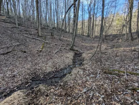 tbd Coles Knob Rd NE, Pilot, VA 24138 photo 6