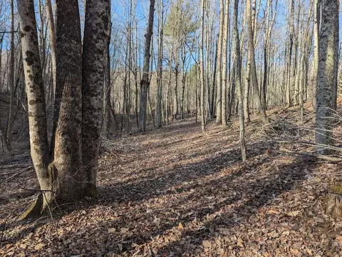 tbd Coles Knob Rd NE, Pilot, VA 24138 photo 8