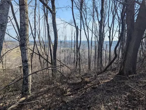 tbd Coles Knob Rd NE, Pilot, VA 24138 photo 20