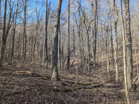 tbd Coles Knob Rd NE, Pilot, VA 24138 photo 24