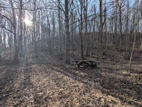 tbd Coles Knob Rd NE, Pilot, VA 24138 photo 7