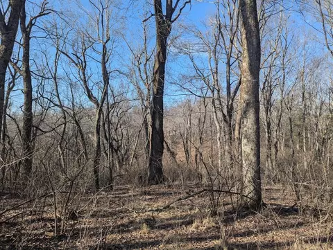 tbd Coles Knob Rd NE, Pilot, VA 24138 photo 18