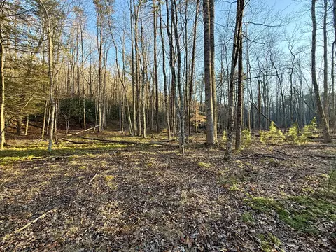 0 Dicks Creek Rd, New Castle, VA 24127