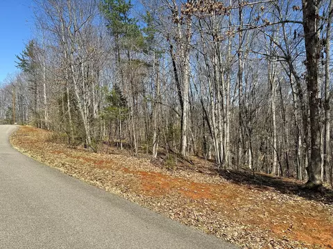 lot17 Gap Bridge Rd, Moneta, VA 24121