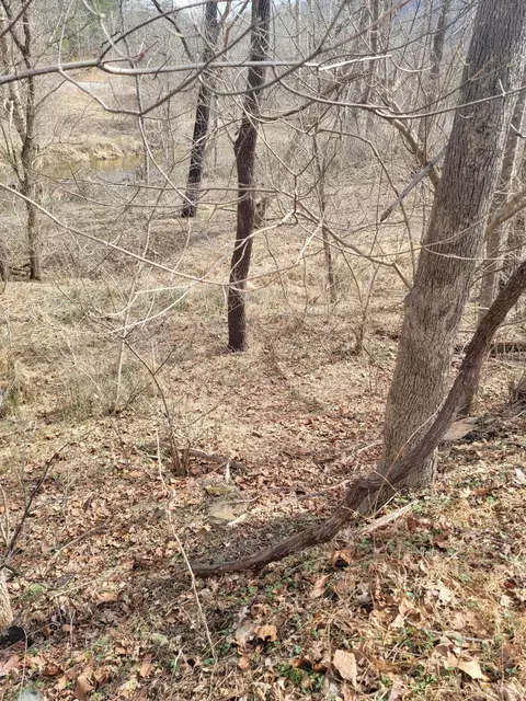 0 Starlight Ln, Boones Mill, VA 24065