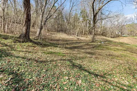 Exterior - 121 Branch Rd, Eagle Rock, VA 24085 photo 8 of 12