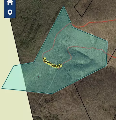 4001 Lignite Rd, Eagle Rock, VA 24085