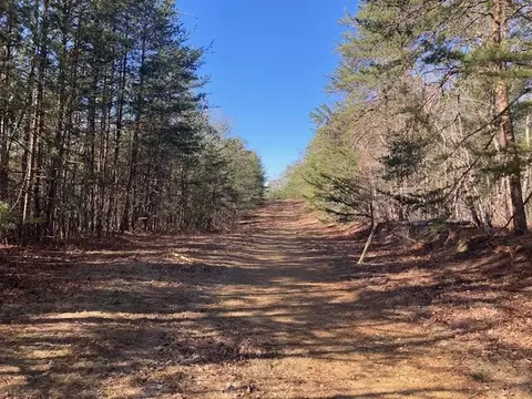 0 Misty Hollow Rd, Eagle Rock, VA 24085 photo 2