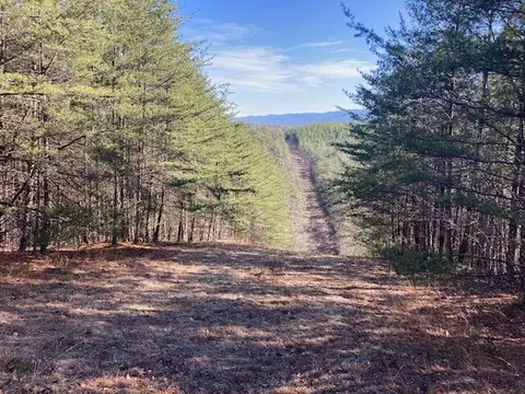 0 Misty Hollow Rd, Eagle Rock, VA 24085 photo 2