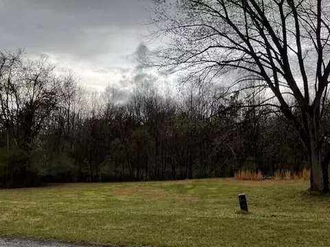 0 Pleasure Point Lot 49 Dr, Goodview, VA 24095