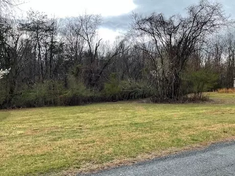 0 Pleasure Point Lot 49 Dr, Goodview, VA 24095 photo 4