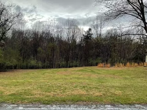 0 Pleasure Point Lot 49 Dr, Goodview, VA 24095 photo 2